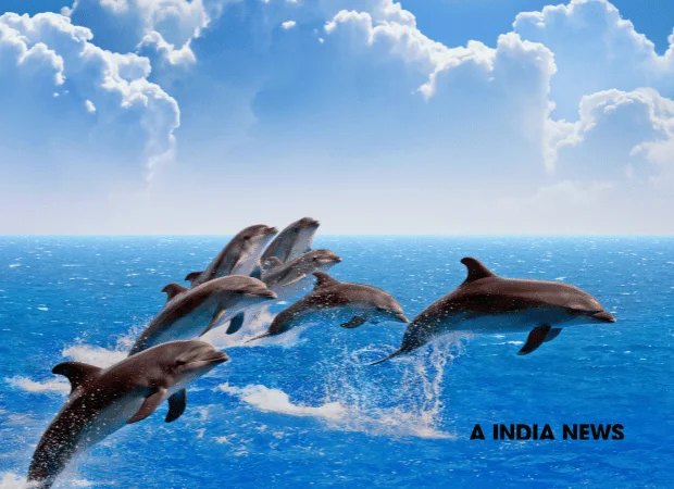 प्रकृति के 14 अद्भुत तथ्य जो आपके दिमाग को हिला देंगे! प्रकृति के 14 अद्भुत तथ्य जो आपके दिमाग को हिला देंगे!