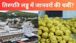 तिरुपति लड्डू में जानवरों की चर्बी? सच्चाई जानकर आपके होश उड़ जाएंगे!