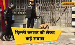 दिल्ली बम विस्फोट के बाद CRPF स्कूलों में बम धमकी: क्या आपके बच्चे सुरक्षित हैं?
