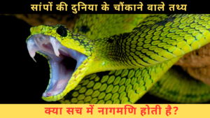 Snake Facts & Myths – सांपों के बारे में 7 सबसे चौंकाने वाले मिथक: दूध पीने से नागमणि तक की सच्चाई जानें!